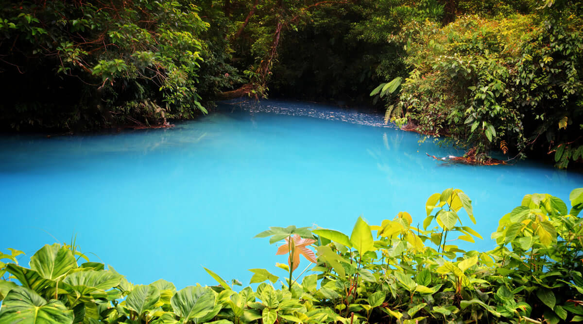 Tenorio Volcano National Park: Haven for Wildlife & Volcanic Wonders